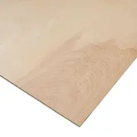 Foglio di compensato da 1,6 mm 304 x 304 mm – Confezione da 1 foglio, Opzioni del prodotto: Compensato da 1,6 mm 304 x 304 mm