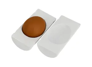Ægbeskyttere