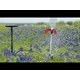 StratoLauncher® IV Water Rocket Launcher + StratoFins Kit STEM education, 2 image model rocketry